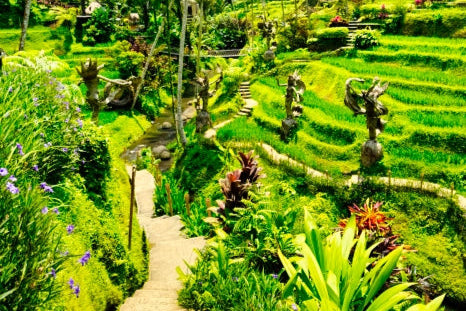 Islescentes Bali Rice Terrace Natural Incense